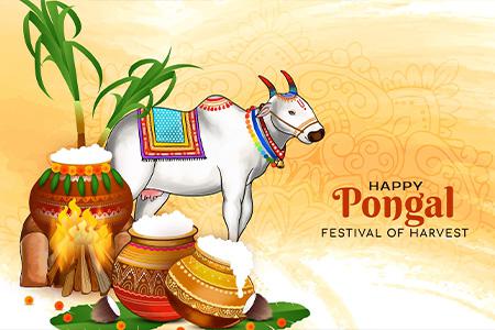 Pongal Festival 2026